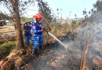 Siang Hingga Dini Hari, Satgas Karhutla Lanud Sjamsudin Noor Terus Bergerak, Terjang Padamkan Api di Lahan Gambut