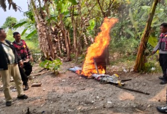 Polresta Sidoarjo Bongkar Arena Sabung Ayam di Dua Lokasi