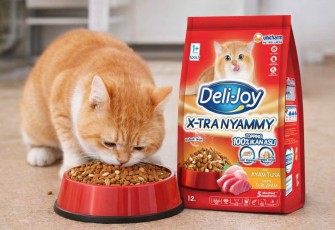 Jangan Asal Pilih! Ini Rekomendasi Dry Food Kucing Bernutrisi Tinggi