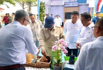 Kunjungan Presiden Prabowo pada Panen Raya di Karawang, Jawa Barat