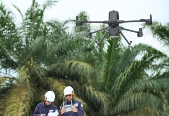 Manajemen Vegetasi dan Analisis Koridor Transmisi dengan Software LiDAR Terrasolid