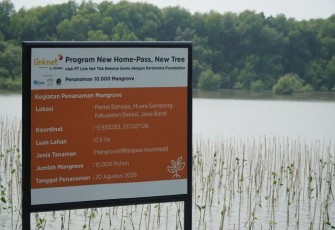 Program New Home-Pass New Tree PT Link Net Tbk di Desa Pantai Bahagia, Muara Gembong, Kab. Bekasi
