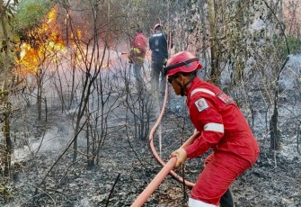 Karimun Hadapi Darurat Karhutla