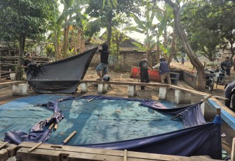 Polres Nganjuk Bongkar Dua Lokasi Sabung Ayam