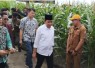 Gus Fawait sàat Resmikan Inkubator Agribisnis UKRI