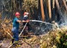 Antisipasi Karhutla, Holding perkebunan Nusantara melalui PTPN IV PalmCo Perkuat Deteksi Dini dan Patroli di Sumatera-Kalimantan