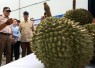 Mentrans Iftitah saat melepas ekspor durian parigi moutong