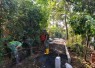 Pengerjaan paving