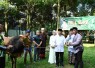 Danrem 083/Bdj Kolonel Inf Wahyu Ramadhanus Suryawan menyerahkan hewan kurban