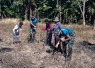 Tanam jagung diperbatasan