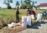 Bantu panen mentimun di wilayah desa binaan