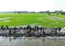 Pembangunan jalan tani desa Tanratuo
