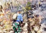 Padamkan kebakaran hutan jati