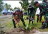 Tanam pohon produktif di Kampung Sesor