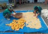 Bantu jemur hasil panen jagung