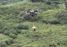 Drone Kargo untuk Lokasi Sulit Dijangkau: Cara Baru Mengirim Barang ke Tempat yang Tak Terhubung Jalan