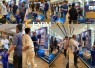 FisTx Indonesia