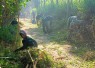 Pembersihan jalan di Dusun Klagin