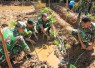 Kodim 0806/Trenggalek dan Pemkab Tanam 1.500 Mangrove di Watulimo Untuk Gegah Abrasi