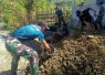Foto istimewa