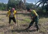 Yonarmed 12 Kostrad Tingkatkan Kesejahteraan Warga Perbatasan Lewat Program Ketahanan Pangan