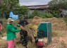 Babinsa Surodakan Dampingi Petani Panen Padi, Perkuat Ketahanan Pangan