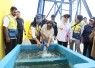 Wakil Menteri Dalam Negeri (Wamendagri) Ribka Haluk mendampingi Wakil Menteri Pekerjaan Umum (PU) Diana Kusumastuti meninjau sejumlah proyek infrastruktur strategis di Kabupaten Jayapura dan Kabupaten Keerom, Provinsi Papua, Selasa (14/7/2026)