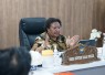 Wakil Menteri Dalam Negeri (Wamendagri) Ribka Haluk 