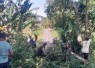 Babinsa dan Warga Bulu Bergotong Royong Pangkas Dahan Pohon di Sepanjang Jalan