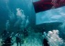 TNI AL Kibarkan Sang Merah Putih di Dasar Laut Morotai 
