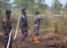 TNI AL dan Tim Gabungan Berupaya Padamkan Karhutla di Banjar Baru 