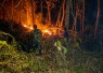 Kebakaran lahan tebu di Kecamatan Wonoasri