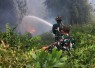 Satgas Irigasi Lanud Sjamsudin Noor Terus Perkuat Upaya Padamkan Karhutla Kalsel Optimalkan Air Hingga Dinginkan Lahan Gambut