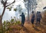 Hutan di Wilayah Binaan Terbakar, Babinsa Kodim Ponorogo dan Unsur Terkait Lakukan Pemadaman
