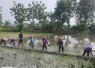 Bersama Petani, Babinsa Pilangbango Tanam Padi untuk Ketahanan Pangan