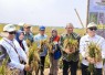 BRIN-PGN-Pemkab Batang Panen Raya 166,5 Ton Padi Biosalin