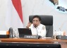 Wakil Menteri Dalam Negeri (Wamendagri) Ribka Haluk 