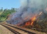 Musim Kemarau, KAI Daop 2 Bandung Himbau Tidak Bakar Sampah di Sekitar Rel