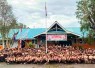 Pangkalan SD Negeri 001 Tanjungpinang Timur Gugus Depan 02-001/02-002 menggelar Perkemahan Sehari (Persari) dan Perkemahan Sabtu Minggu (Persami), Sabtu (23/5/2026)